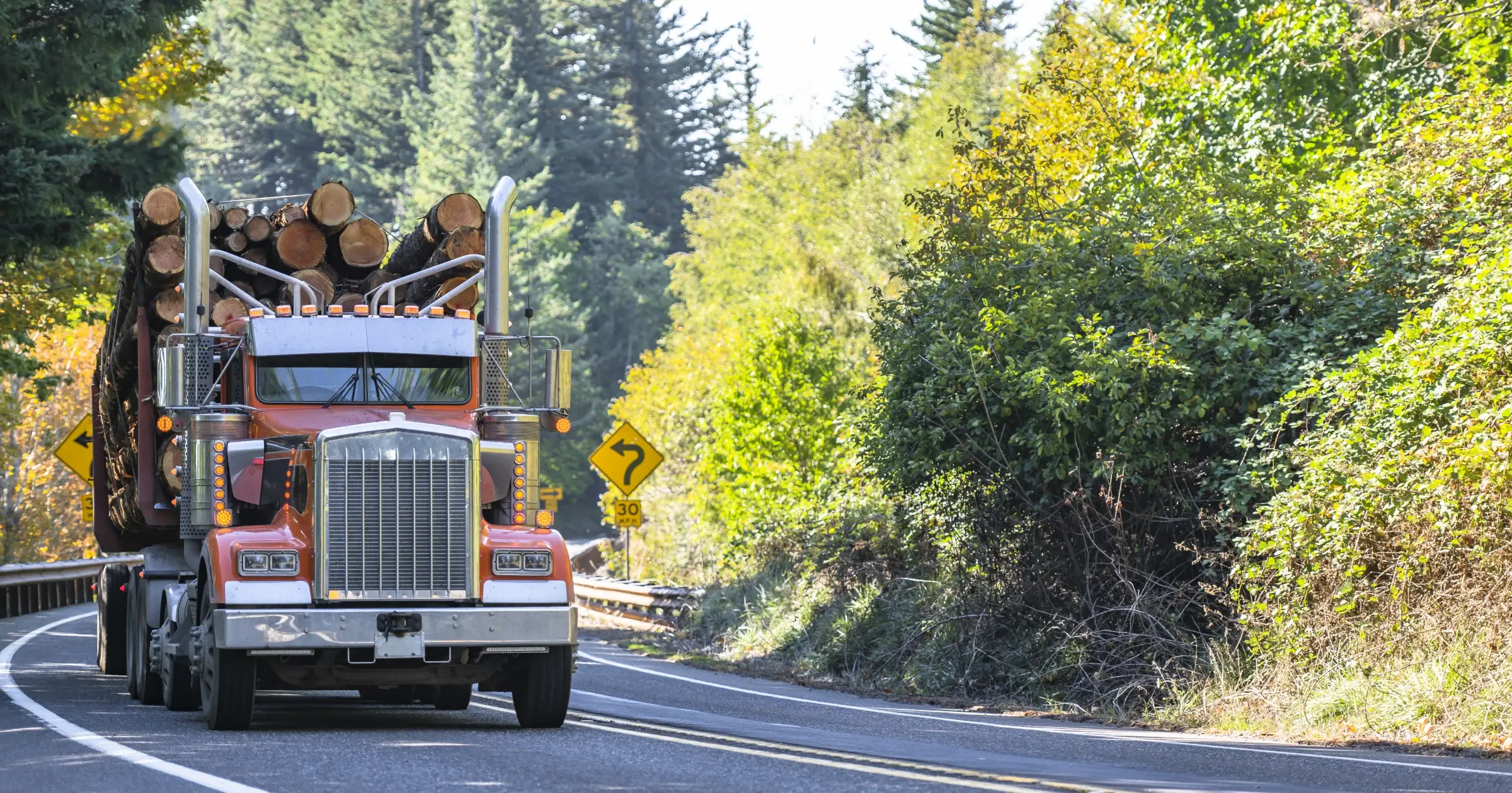 Red semi-truck driving on a road next to large greenery 